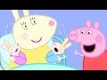 Peppa Wutz 🐇 Peppa und die Baby-Hasen | Peppa Pig Deutsch Neue Folgen | Cartoons für Kinder