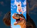 مياو😼عمل كارثه في الملاهي😱شوف النهايه🔥 #shortvideo #قطط #cat