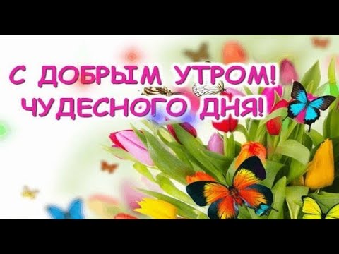 Доброго, чудесного утра! #видеооткрытки # анимация