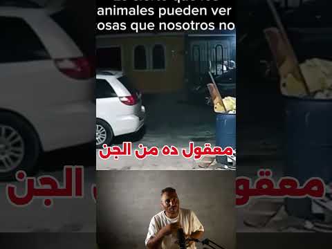 كاميرا مراقبة وث قت لحظة صادمة جدا ظهور غامض لشخص غريب يقال إنه واحد من الجن