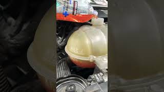 How to Add Coolant Ford Mustang #mustang #ford #coyote #gt #shorts #viral #video #fyp #antifreeze