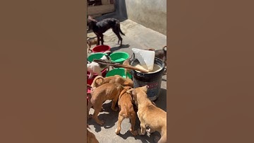 For any support click link in our channel description to donate.All pledges you make are appreciated