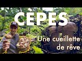 Cpes   une cueillette de rve  mes conseils