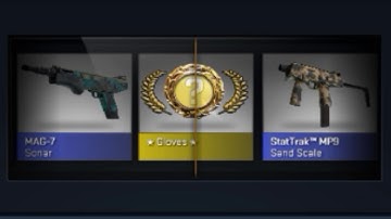 INSANE CSGO SPORTS GLOVES PANDORA