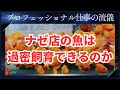 ナゼ店の魚は過密飼育できるのか?その秘密に迫ります。プロフェッショナル仕事の流儀 熱帯魚ショップ店員プロが解説!