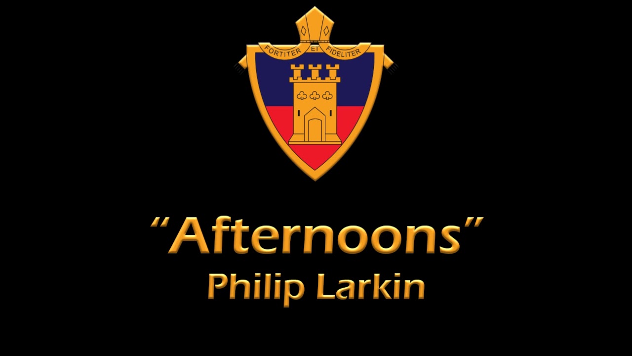 afternoons larkin