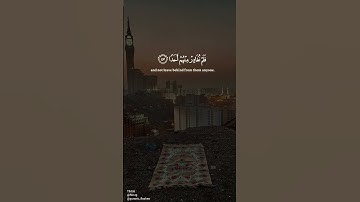 المال والبنون زينة الحياة الدنيا - سورة الكهف للشيخ محمد اللحيدان