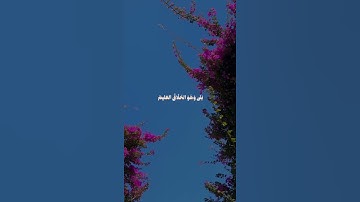 عندما يخشع القارئ🩷#قرآن #المصحف #القرآن_الكريم #راحة_نفسية #تلاوات #quran #قران_كريم #لايك #اكسبلور