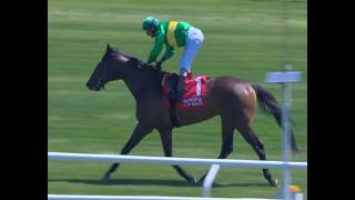 Integration Wins, Carson's Run 4th at Aqueduct 5 7