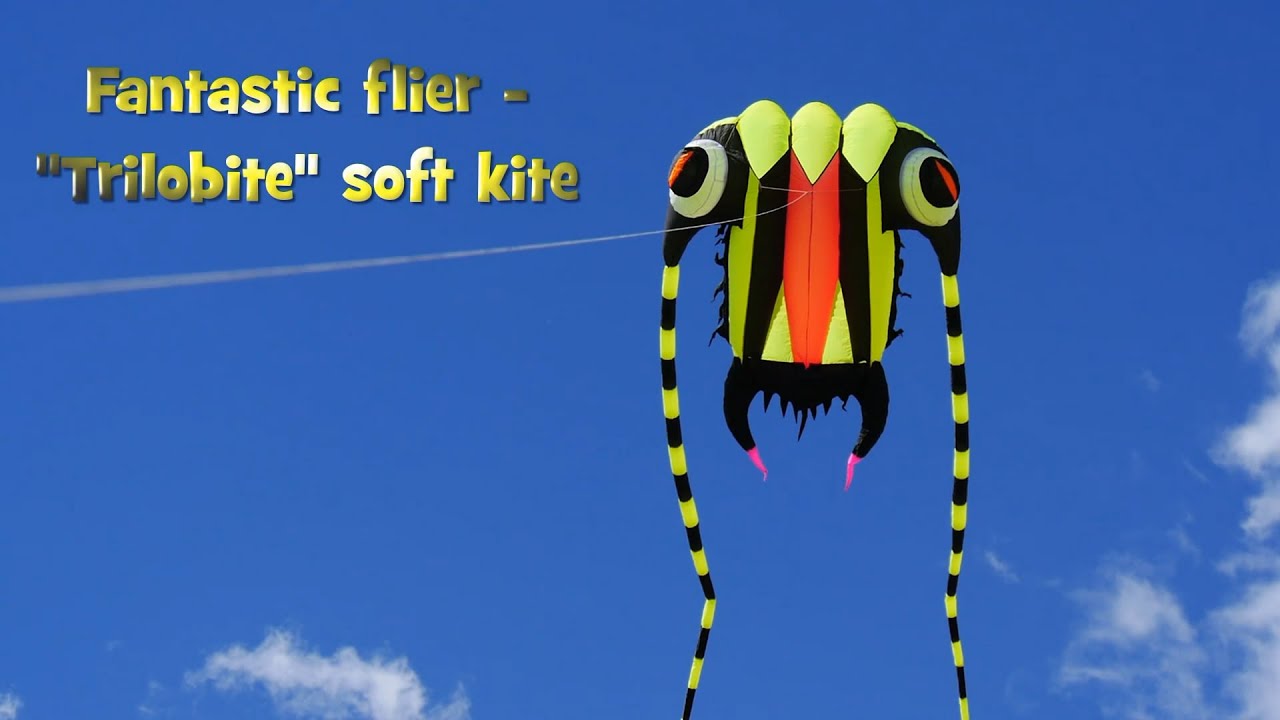 Fantastic flier Trilobite soft kite YouTube