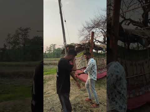 Aj sajbar thila line full video mini vlog 🔥 #shortsfeed #shortsviral #funny #minivlog #shorts #short