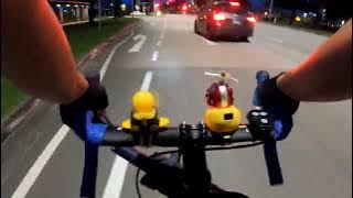 Part 3 ROAD TRIP TO LORONG HALAUS WETLAND | SINGAPORE VIEW | OFW |  COLOBZ TV