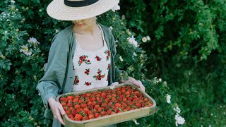 #45 If Strawberries 🍓 are Here, So Is Summer | 6 Strawberries Recipes for Summer