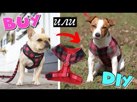 Видео: 10 легких DIY собачьих ошейников для Jazz Up Your Pup's Summer Wardrobe