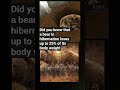 Did you know ? #didyouknow #facts #bear #hibernate #weightloss