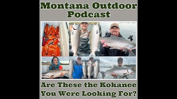 How to Find and Catch HUGE Kokanee Salmon in Holter and Hauser Reservoirs!
