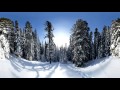 Nieve en el bosque, video en 360 grados