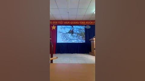 Bảng hiệu led ma trận dẻo