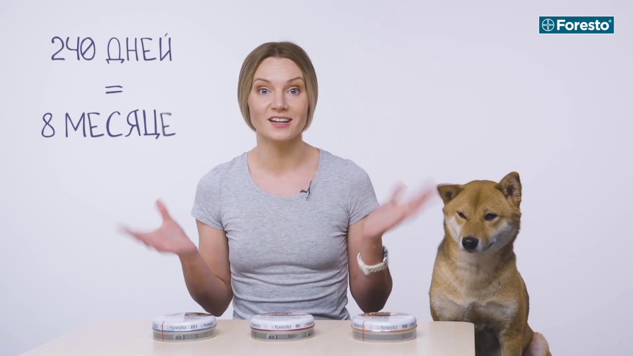 Нашийник Foresto