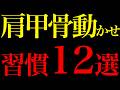 【科学的根拠】肩甲骨ストレッチを毎日すれば人生激変する習慣