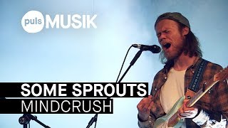 Some Sprouts – Mindcrush (PULS Live Session)