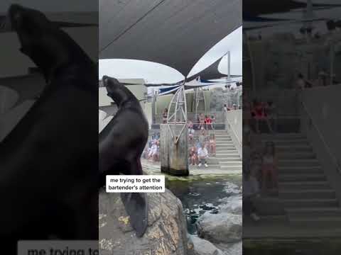 IT ALWAYS HAPPENS Shorts