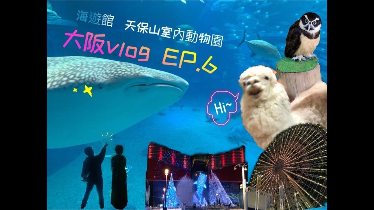 大阪vlog Ep6 玩轉天保山海遊館 Youtube