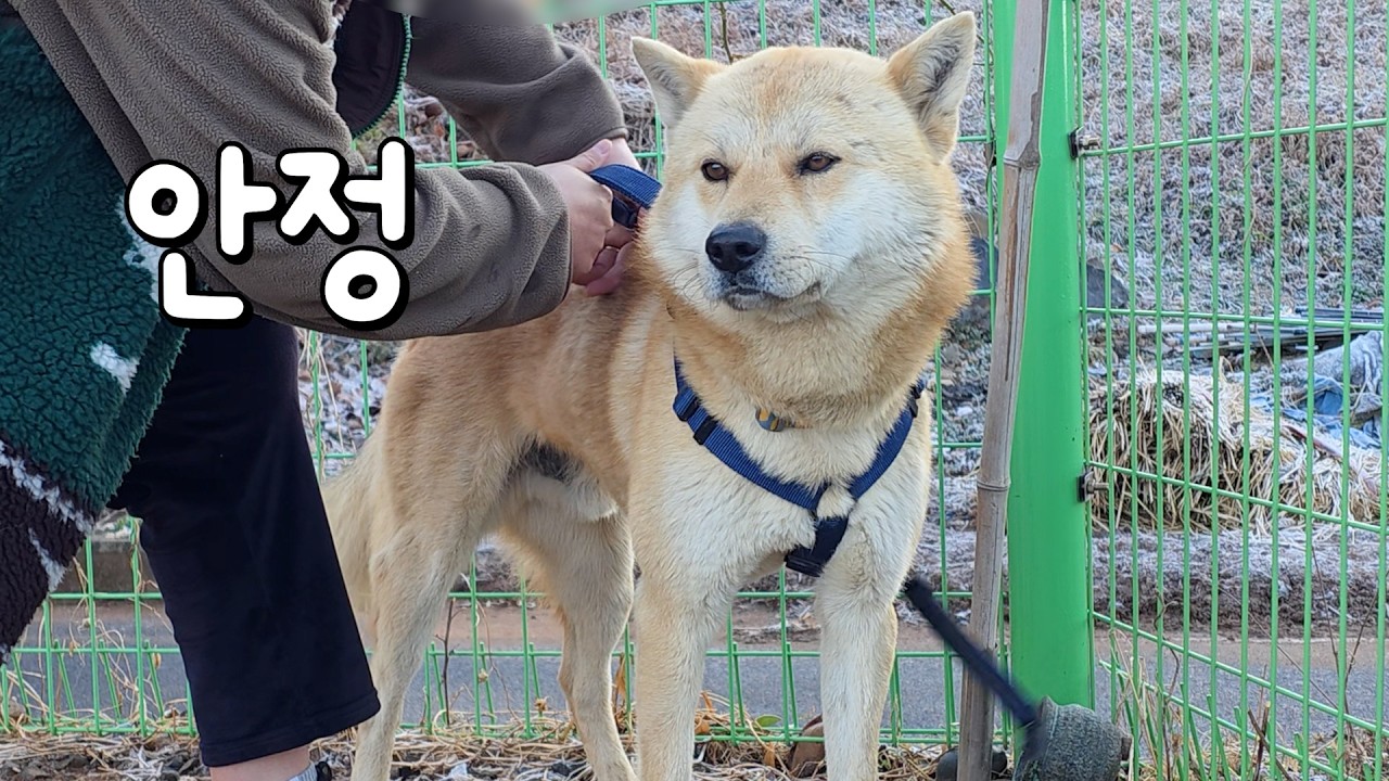 제일 큰 손해를 봤습니다