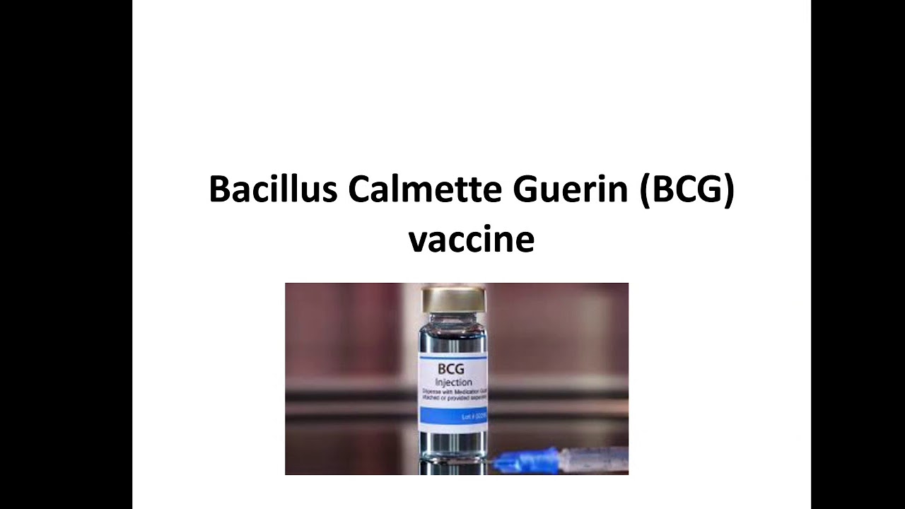 BCG vaccine - YouTube