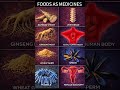 "Food as Medicine: Top Healing Foods You Should Add to Your Diet