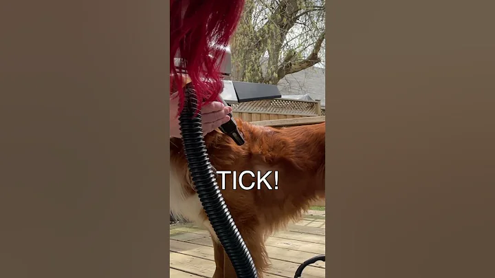 This Simple Tool Finds Ticks FAST! 🤯