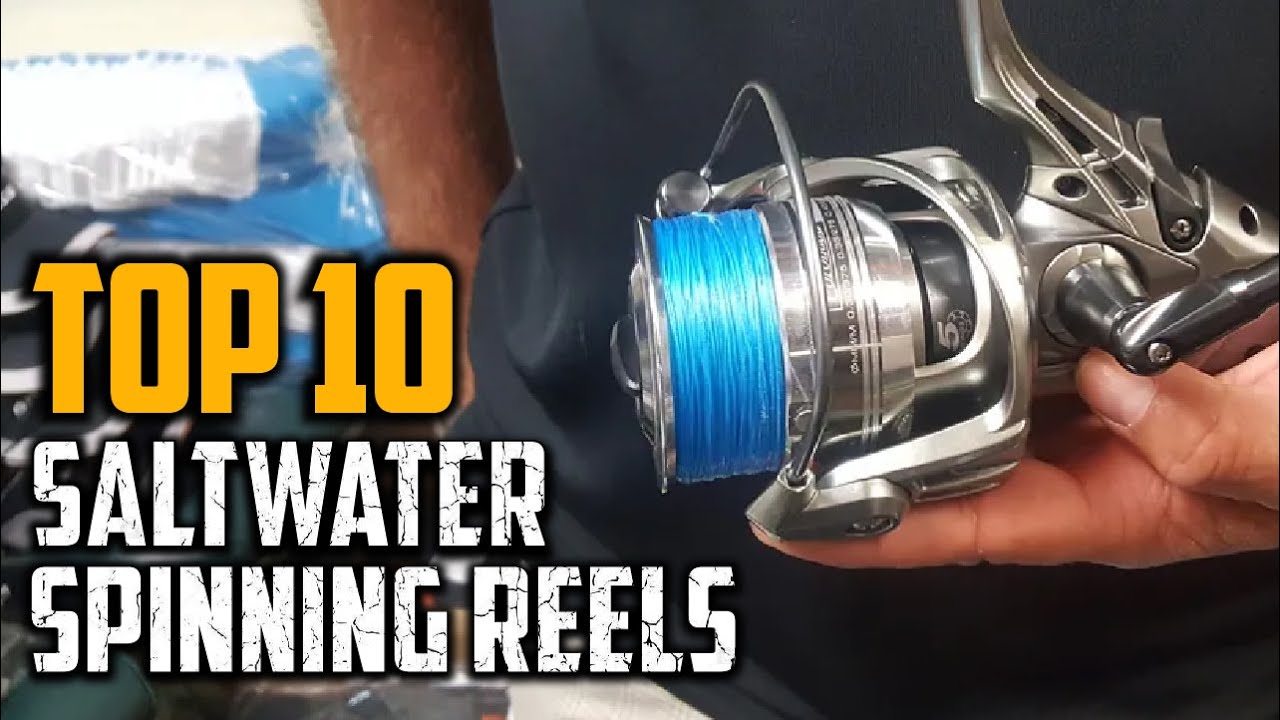 Top 10 Best Saltwater Spinning Reels in 2023 