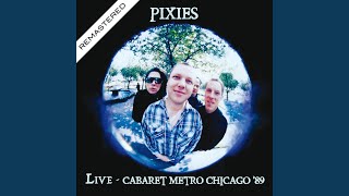 Video thumbnail of "Pixies - Cactus (Remastered)"