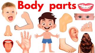 Body Parts Name in English | Learn Human Body Parts | Kids Learning Video#starbeamkids #bodyparts