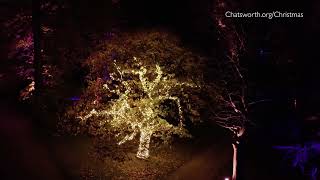 Christmas garden light trail at Chatsworth 2022