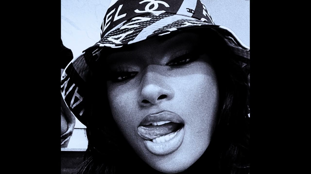 [FREE] Megan Thee Stallion Type Beat - 