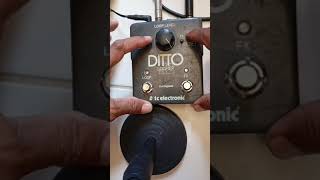 How to fix Looper Ditto X2?