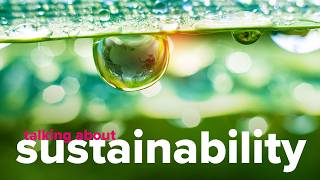 ACCA, ESG, sustainability reporting and the future of accounting