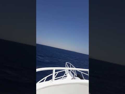 رحله يخت شرم