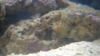 SDC10418.AVI