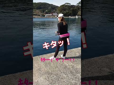 港にいたカワイ子ちゃんが48秒内にスゴいの釣ります#Shorts