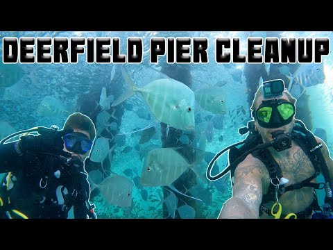 Deerfield Beach Pier - Deerfield Beach Pier CLEAN-UP Dive !!!! *SO MUCH LIFE*