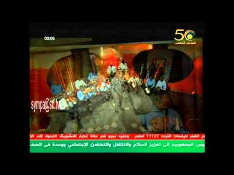 الفنان أحمد شاويش عادي