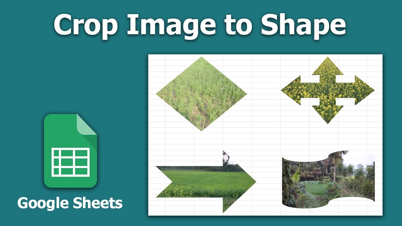 How To Crop Image To Any Shape Using Google Sheets YouTube