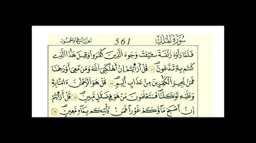 سورة الملك ثمن [ أولم يروا إلى الطير فوقهم صافات ويقبضن ]