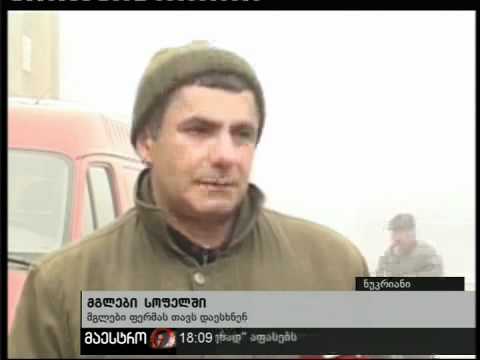 29/01/11 მგლები სოფელში