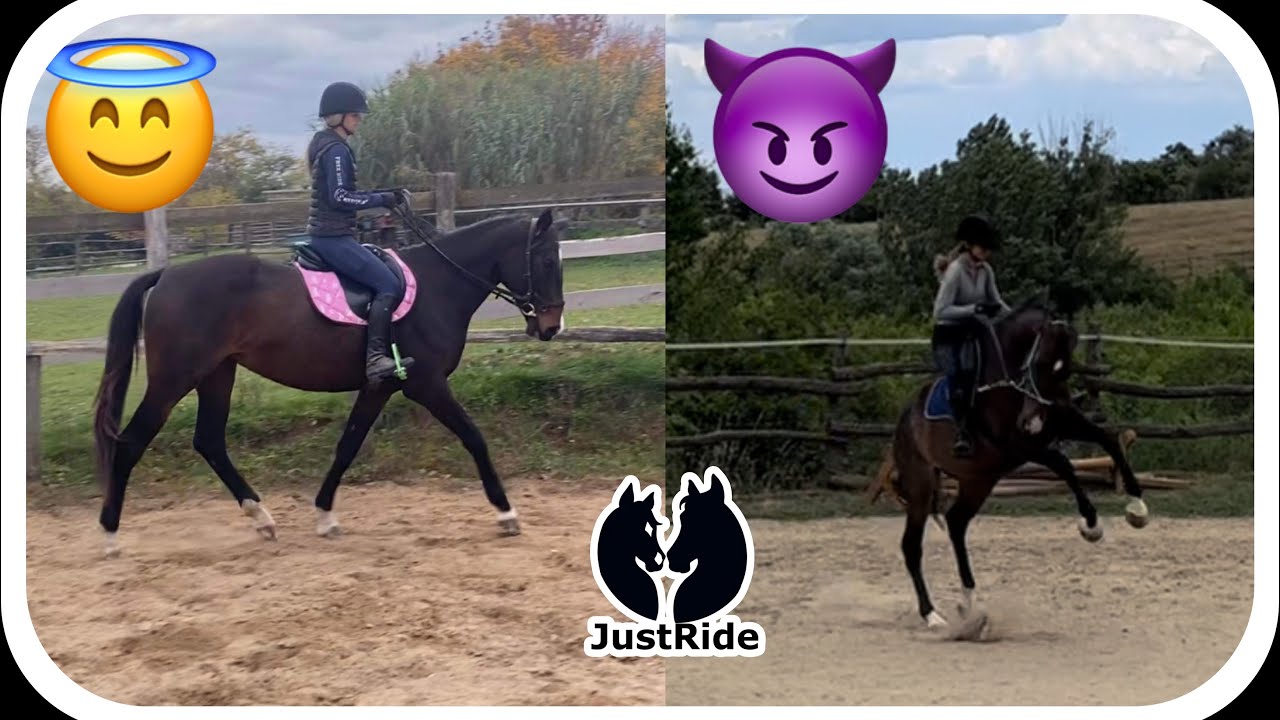 Dakota Belovaglása, Beszámoló | JustRide