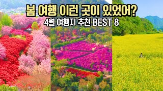 국내 여행 추천 놓치면 후회할 4월 봄 여행 명소 BEST 8