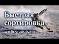 Быстрая сортировка для быстрых мозгов!