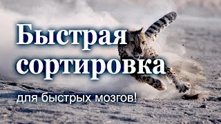 Быстрая сортировка для быстрых мозгов!